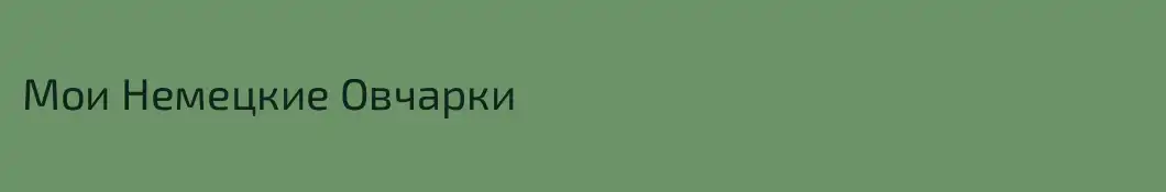 Мои Немецкие Овчарки
